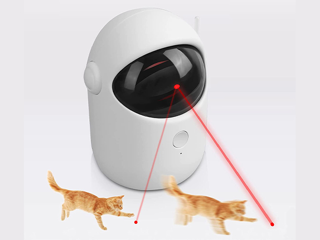 Keep Your Pets Entertained with This Interactive Toy Featuring 2 Speeds Design & Auto-Timer