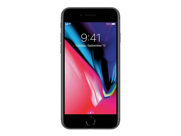 Apple iPhone 8 (A1863) 64GB - Space Gray (Grade A+ Refurbished: Wi