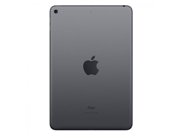 Apple iPad Mini 5 (2019) 7.9" Retina 256GB - Gray (Refurbished: Wi-Fi Only)