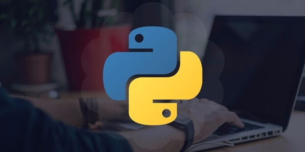 Python Tutorial: Learn by Coding - Product Image