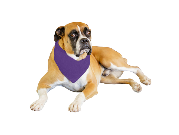 9 Pack Solid Polyester Dog Neckerchief Triangle Bibs  - Extra Large - Purple