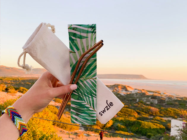 SWZLE Sustainable Straws & Case: 2-Pack (Cerulean Marble/Pink Swirl Marble)