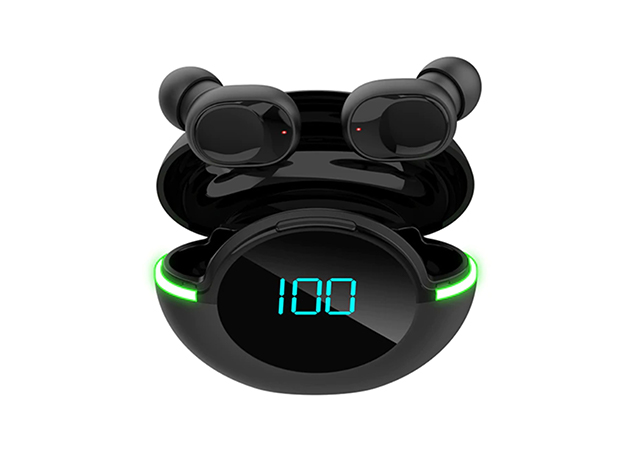 BestBuds TWS Earbuds with Wireless Digital Display Charging Case