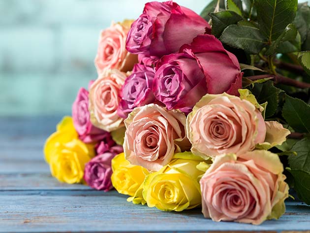 Mother's Day Special: Get 24 Farmer's Color Choice Long-Stem Roses for Just $24.99 (Shipping Not Included)
