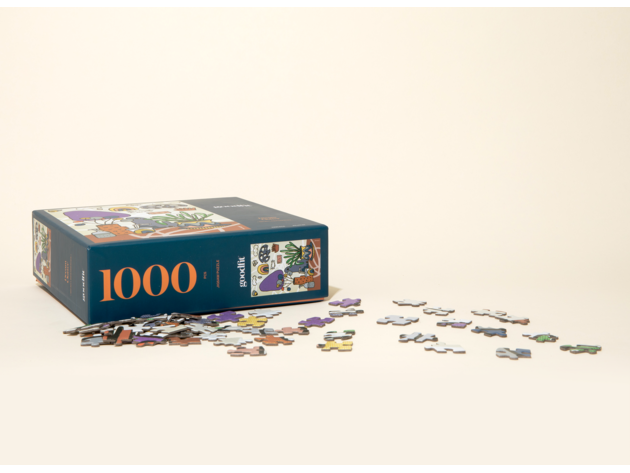 Dream Clutter by Micah Lindenberger 1000 Piece Puzzle